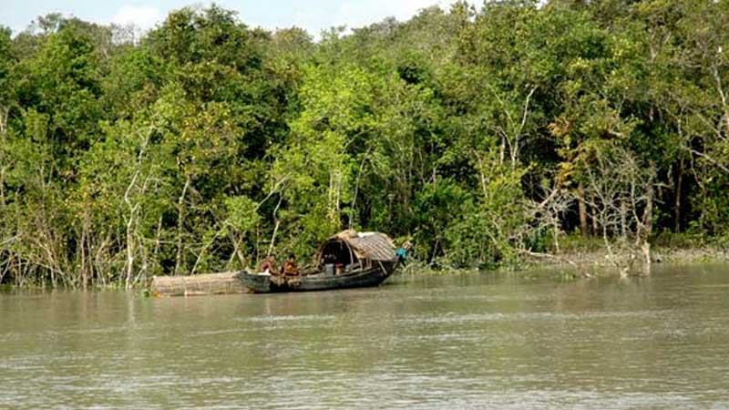 ঝড়ে সুন্দরবনে নৌকাডুবিতে এখনো নিখোঁজ চারজন