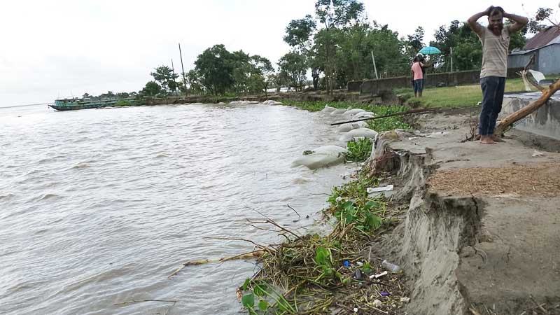 কুষ্টিয়ায় পদ্মার পানি কমার সঙ্গে তীব্র আকার ধারণ করেছে ভাঙন