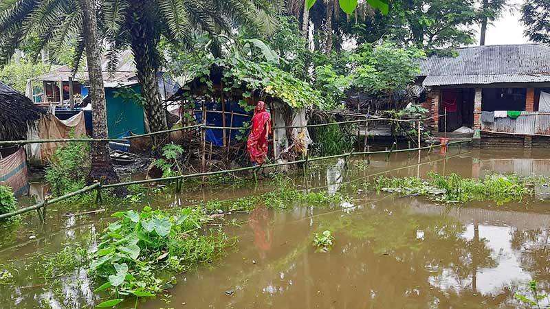 টানা বৃষ্টিতে ফের জলাবদ্ধ ভবদহ, ডুবেছে ফসল ও মাছের খামার
