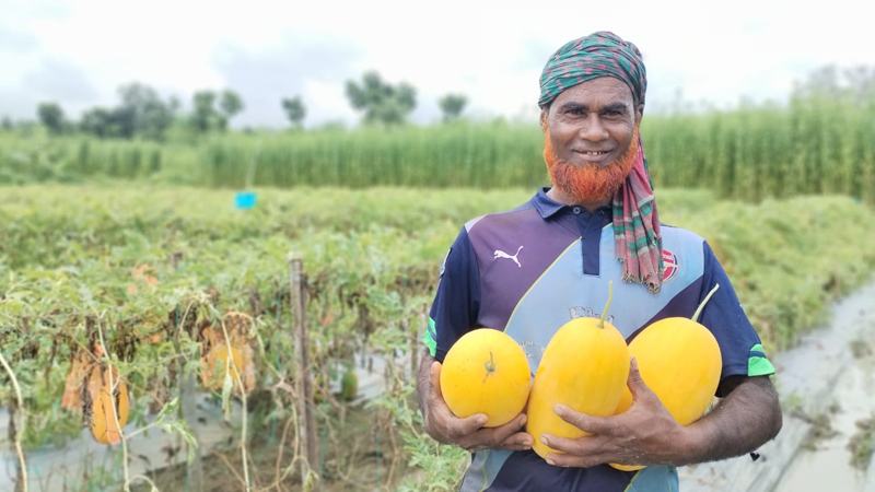বারোমাসি তরমুজ চাষে ঝুঁকছেন সাতক্ষীরার কৃষক