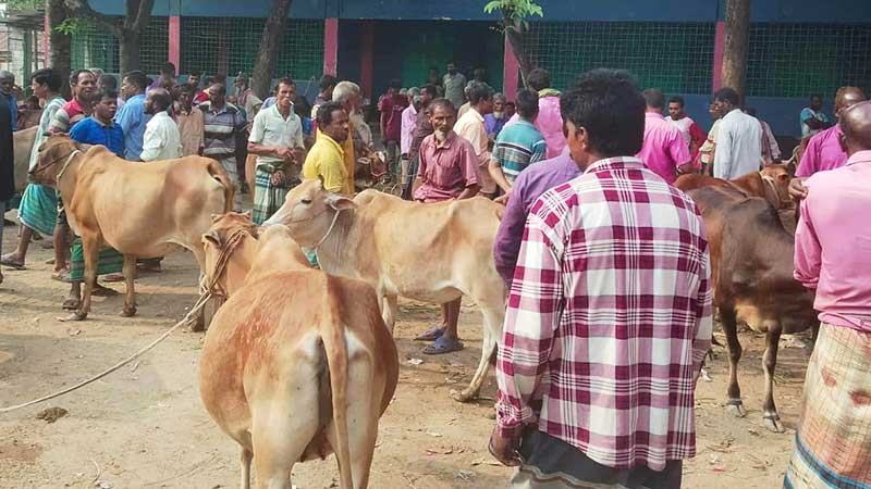 তিন দশকেও আসেনি ইজারার আওতায়, রাজস্ব বঞ্চিত সরকার