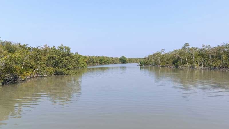 অগ্নিকাণ্ড রোধে সুন্দরবনে টহল জোরদার, দাহ্য পদার্থ নিয়ে প্রবেশে নিষেধাজ্ঞা