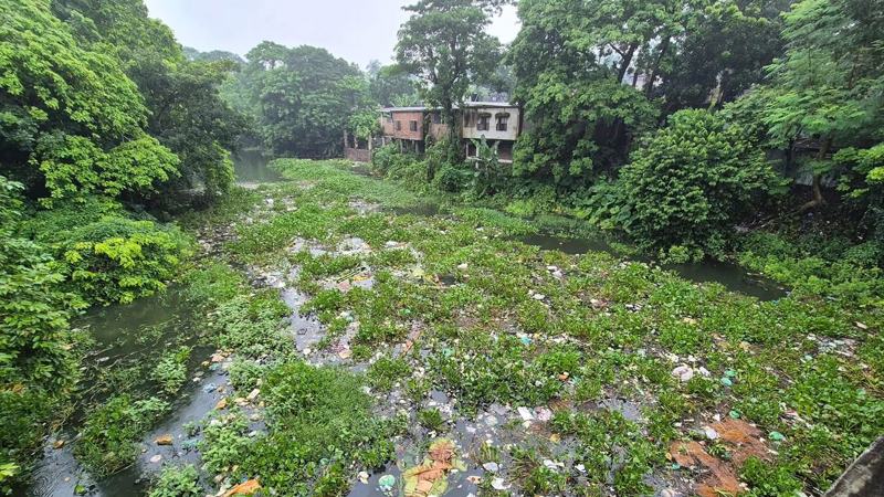 দখল-দূষণে নালায় পরিণত নবগঙ্গা, আবর্জনায় ভরাট নদীর তলদেশ