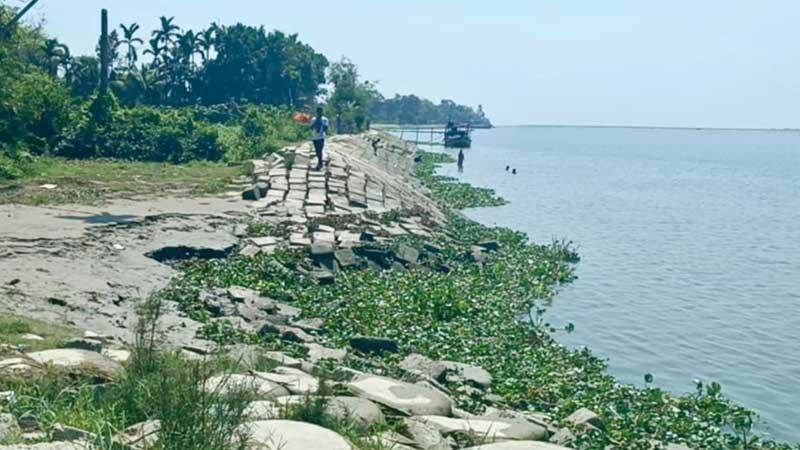 চাঁদপুরে মেঘনা নদীর প্রতিরক্ষা বাঁধে ধস