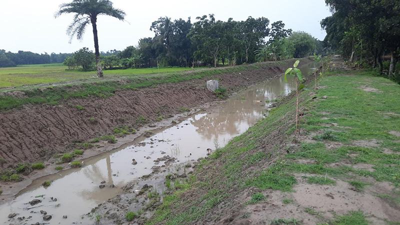 ঝিনাইদহে সরকারি বরাদ্দের বাইরের খাল খনন