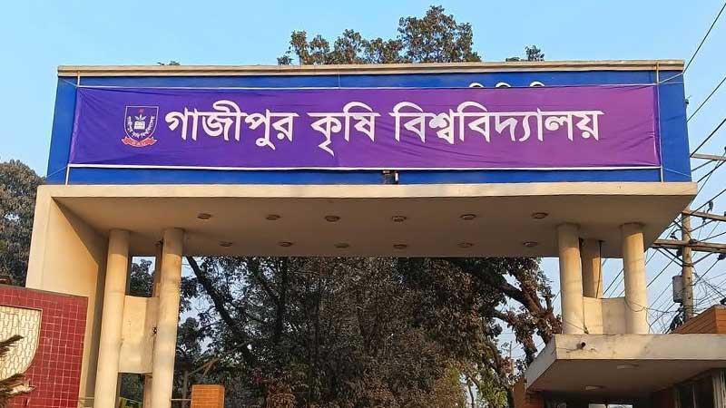 ‘পানিদূষণের কারণে বিলুপ্তির পথে দেশীয় প্রজাতির অনেক মাছ’