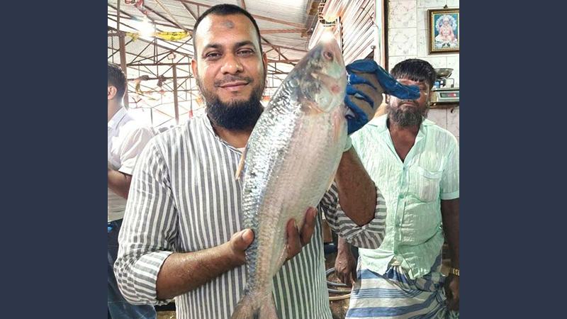 এক ইলিশের দাম ১১ হাজার টাকা