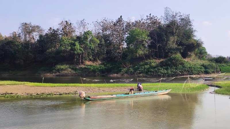 রাঙ্গামাটিতে বোরো আবাদে বিলম্ব অর্জিত হয়নি লক্ষ্যমাত্রা