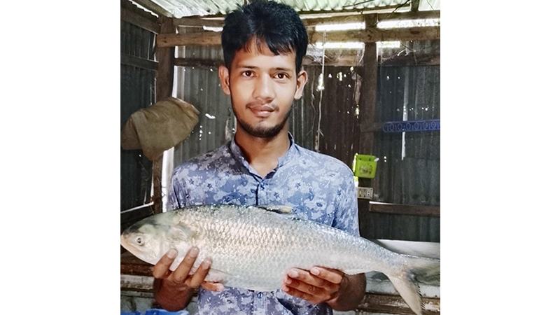 ভোলায় ধরা পড়ল ৩ কেজির ‘রাজা ইলিশ’