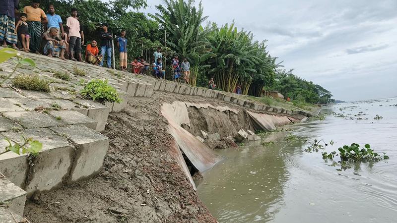 কুড়িগ্রামে ব্রহ্মপুত্রের তীররক্ষা বাঁধে ধস
