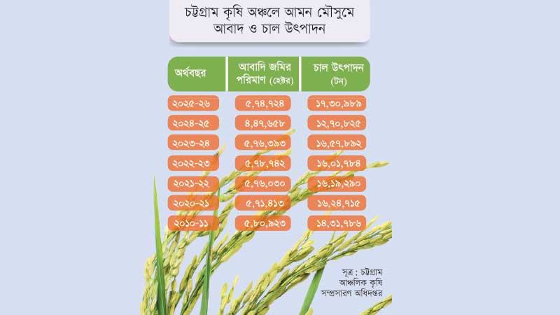 চট্টগ্রাম কৃষি অঞ্চলে আবাদযোগ্য জমি কমলেও আমন উৎপাদন বেড়েছে
