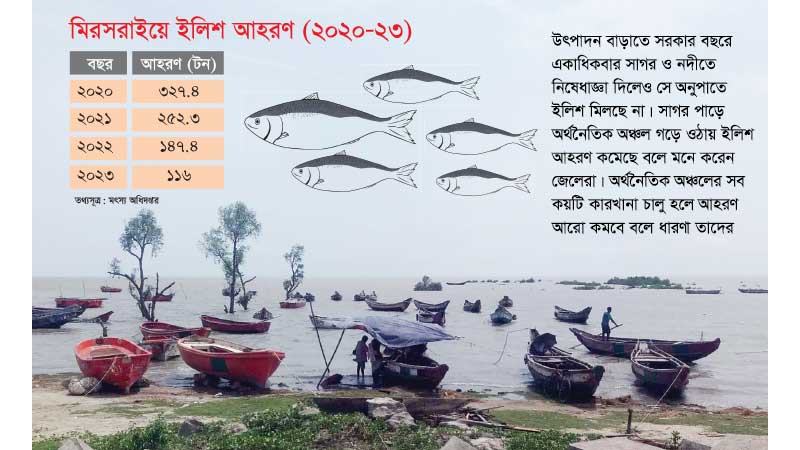 মিরসরাইয়ে চার বছরে ইলিশ আহরণ কমেছে ২৫ শতাংশ
