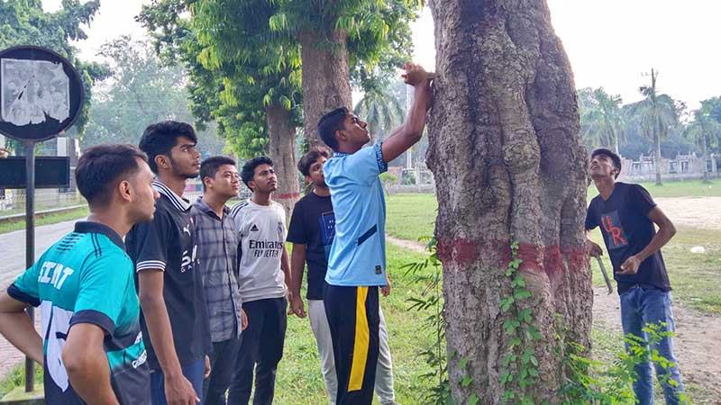 পেরেকমুক্ত হলো রাবির গাছগুলো