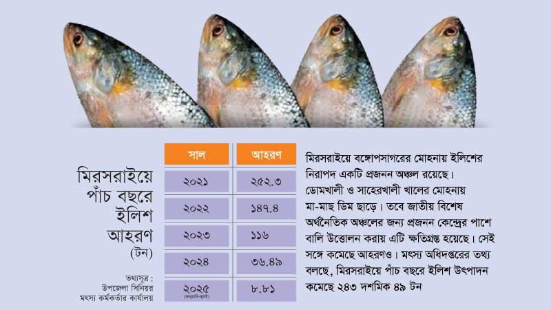 মিরসরাইয়ে শিল্পায়নে নষ্ট হচ্ছে ইলিশের প্রজনন অঞ্চল
