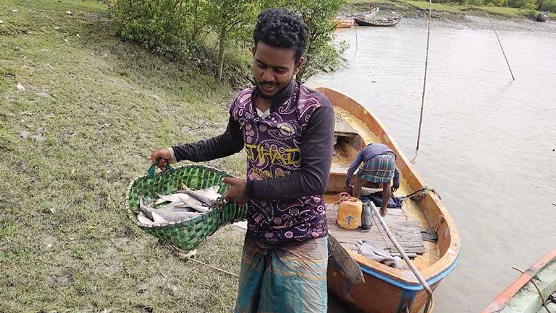 মিরসরাইয়ে নানামুখী পদক্ষেপেও বাড়ছে না ইলিশ উৎপাদন