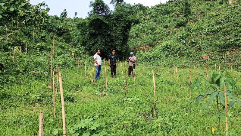 দখলমুক্ত করে রাঙ্গামাটিতে দুই সপ্তাহে ১০ একর বনায়ন