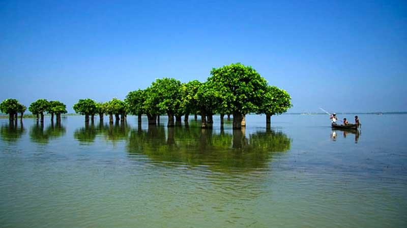 টাঙ্গুয়ার হাওরের কিছু অংশে পর্যটকবাহী হাউজবোট চলাচলে নিষেধাজ্ঞা