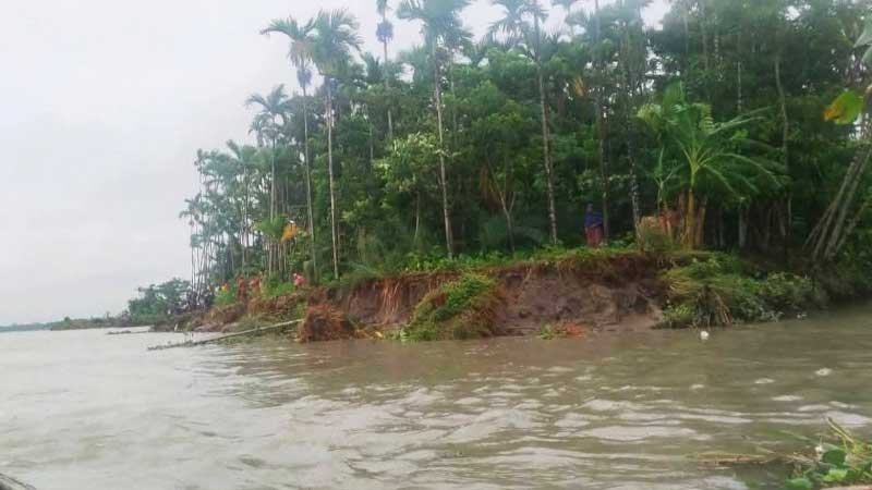 বরিশালে ভাঙনের ঝুঁকিতে কৃষিজমি ও ঘরবাড়ি