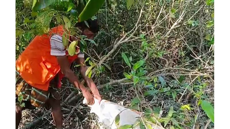বেড়ায় আটকে ছিল অজগর