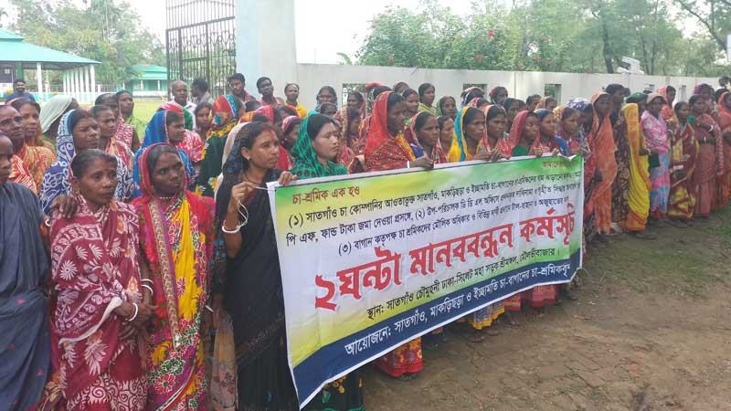 শ্রীমঙ্গলে তিন চা বাগানে শ্রমিকদের কর্মবিরতি