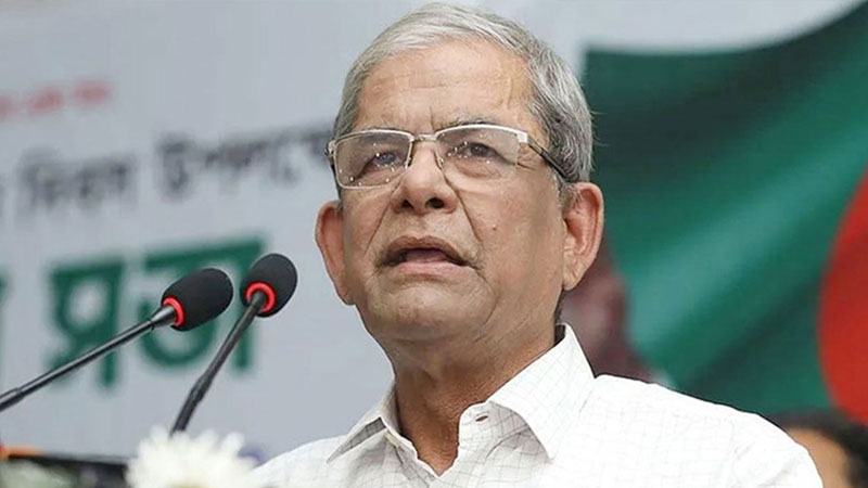 দেশকে সুন্দর করার সুযোগ এসেছিল কিন্তু চারদিকে অনৈক্যের সুর —মির্জা ফখরুল