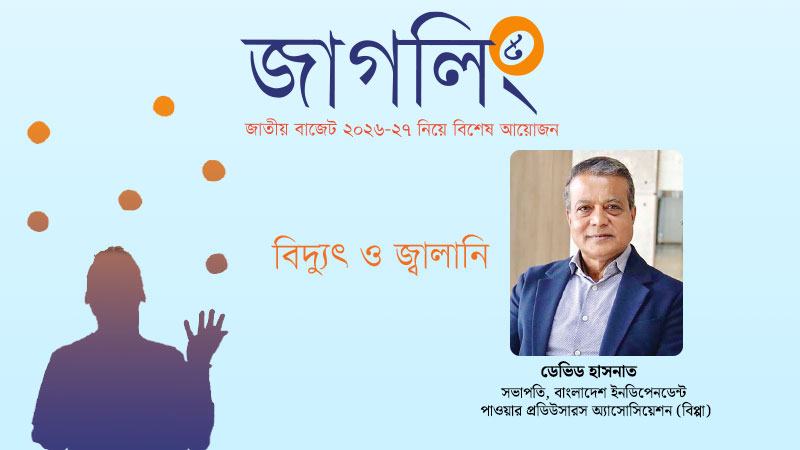 বিদ্যুৎ খাতের বকেয়া পরিশোধে আবারো বিশেষ বন্ড দিতে পারে সরকার