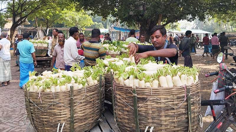 যশোরে কৃষক পর্যায়ে বেড়েছে সবজির দাম