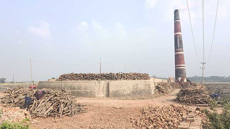 পটুয়াখালীতে ইটভাটায় কয়লার বদলে পুড়ছে কাঠ বাড়ছে পরিবেশগত ঝুঁকি