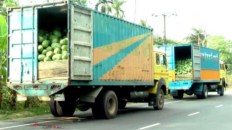 ভোলায় ফেরির জন্য দীর্ঘ অপেক্ষা, নষ্ট হচ্ছে ট্রাকবোঝাই তরমুজ