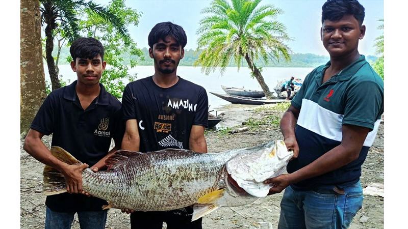 জেলের জালে ২০ কেজির কোরাল