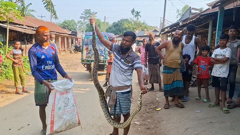 মাছের জালে ধরা পড়ল অজগর সাপ