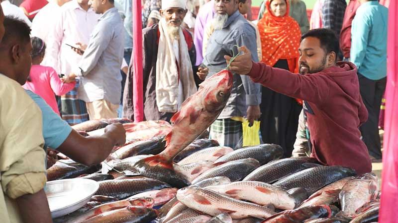 বগুড়ায় নবান্নের মাছ মেলা