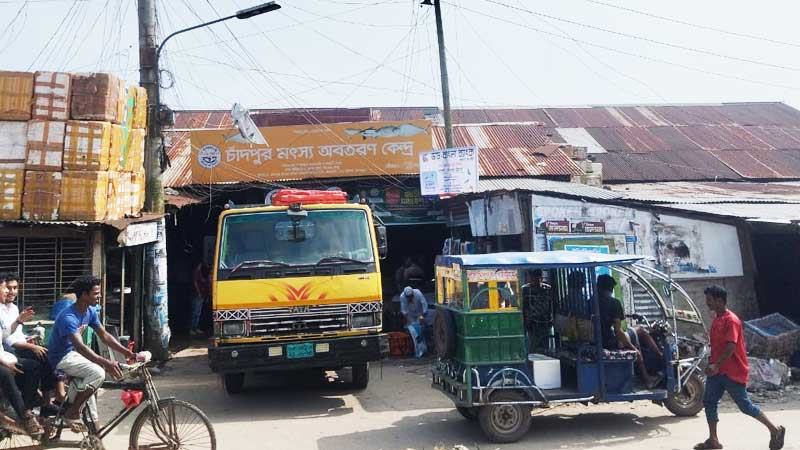 প্রথম দিনে ধরা পড়েনি আশানুরূপ ইলিশ