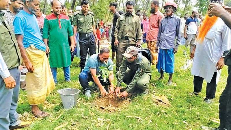 দিনাজপুরে বনভূমি দখলমুক্ত করে বৃক্ষরোপণ
