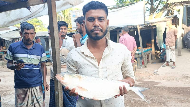 আড়াই কেজি ওজনের ইলিশ ১৬ হাজার টাকায় বিক্রি