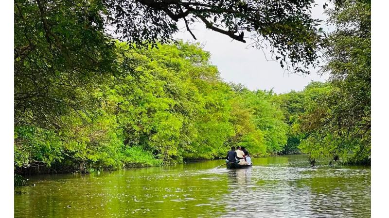 সংকুচিত হচ্ছে রাতারগুল, শোরগোল প্লাস্টিকে হুমকিতে বাস্তুতন্ত্র