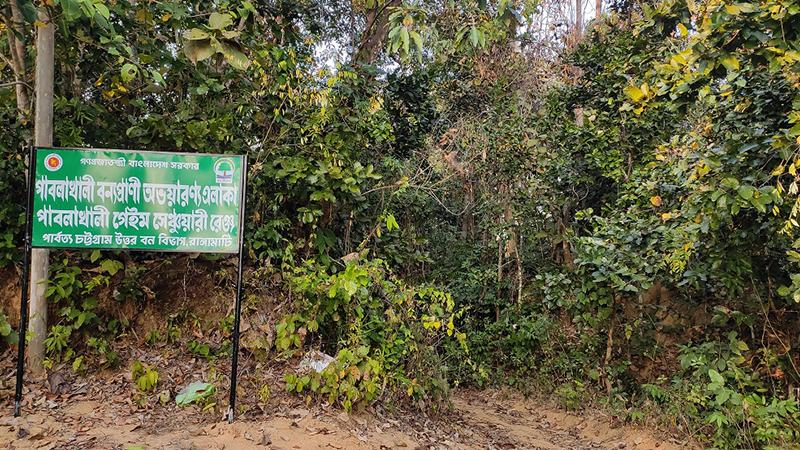 ৯৮ প্রজাতির বৃক্ষ সংরক্ষণের উদ্যোগ