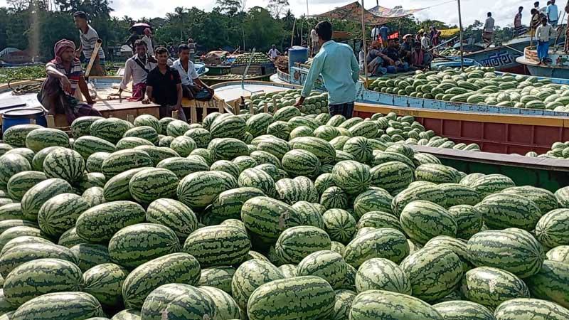 তরমুজের ভাসমান হাট