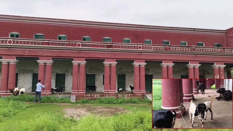 রবীন্দ্রনাথের কাচারিবাড়ি এখন যেন গোয়ালঘর