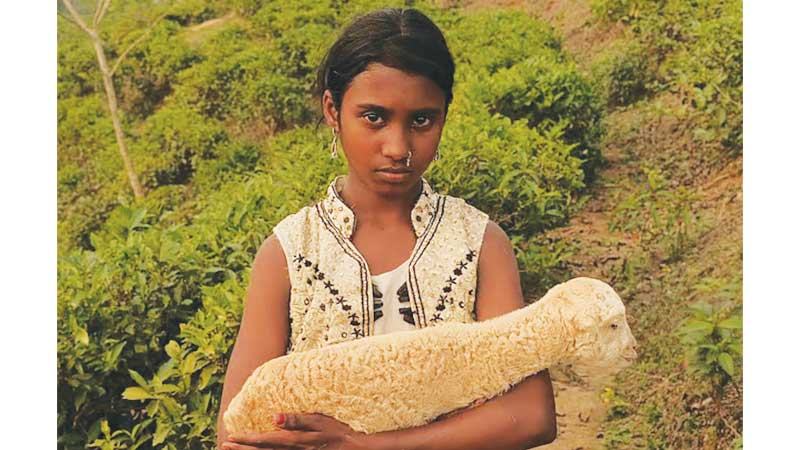 বাংলাদেশে প্রিমিয়ার হচ্ছে স্বল্পদৈর্ঘ্য চলচ্চিত্র ‘নিশি’