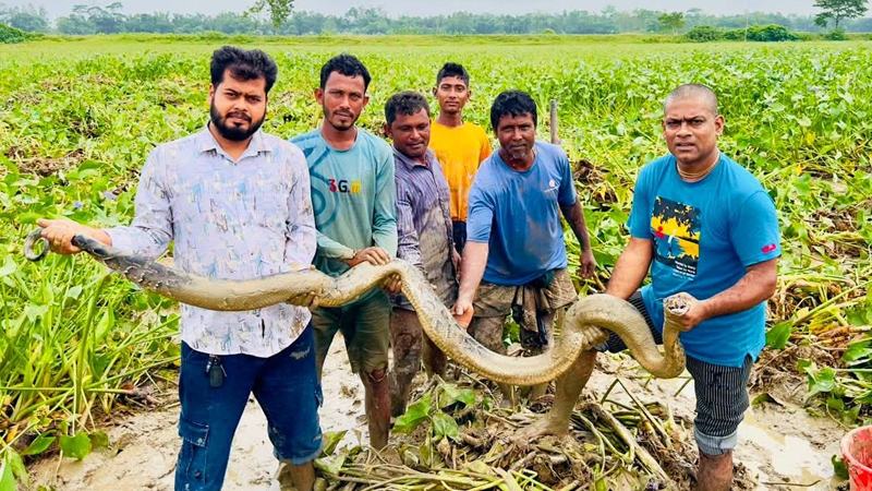 স্বকীয়তা হারাচ্ছে লাউয়াছড়া কমছে বন্যপ্রাণী