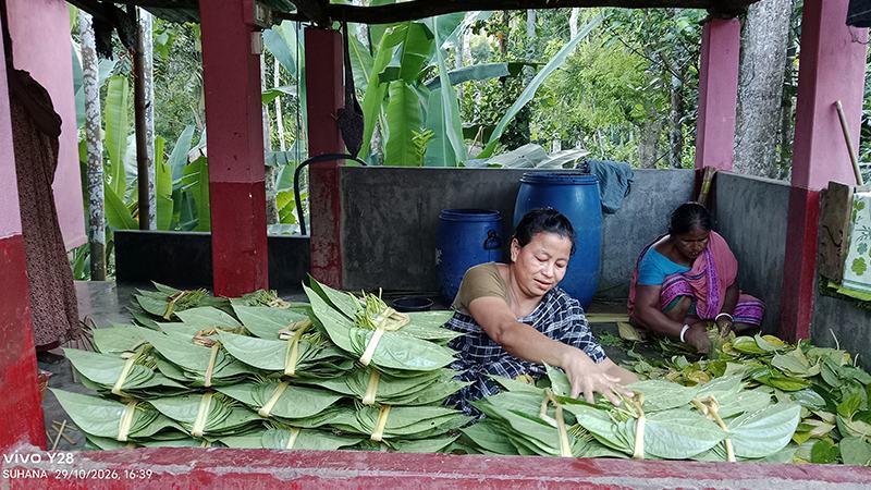 হারিয়েছে সুদিন এখন খরচই ওঠে না