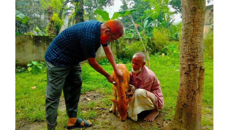 রংপুরে ভ্যাকসিন ব্যবহারে কমছে সংক্রমণ