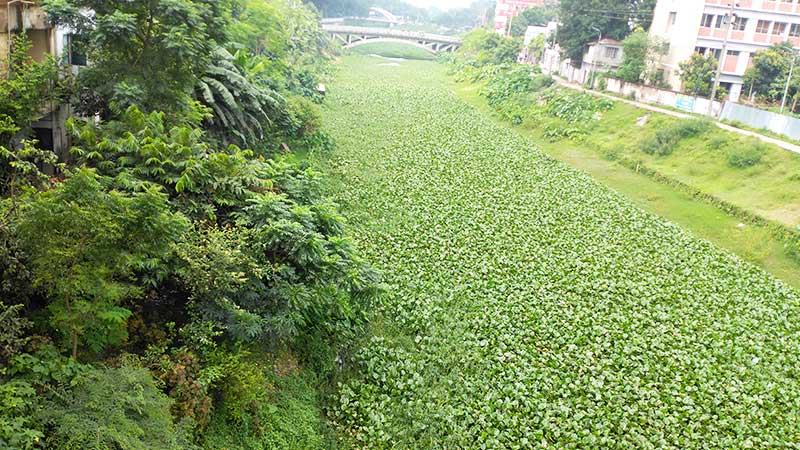 ৫০ কোটি টাকা ব্যয় করেও পানিপ্রবাহ ফেরেনি সিরাজগঞ্জের কাটাখালী খালে
