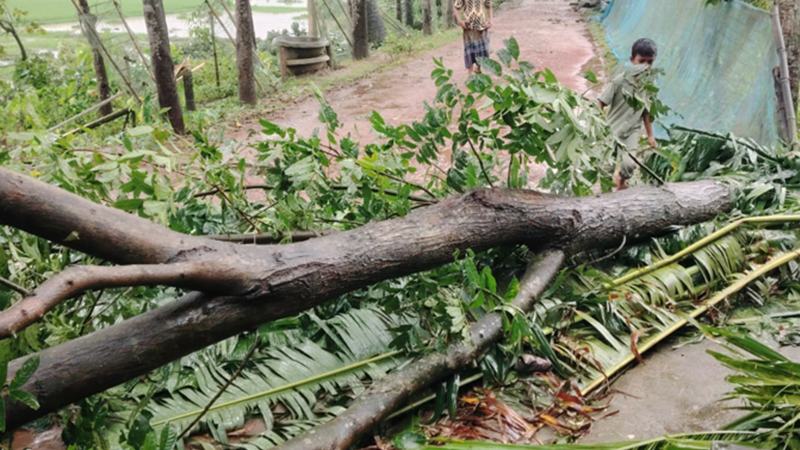 আকস্মিক ঝড়ে বাড়িঘর লণ্ডভণ্ড