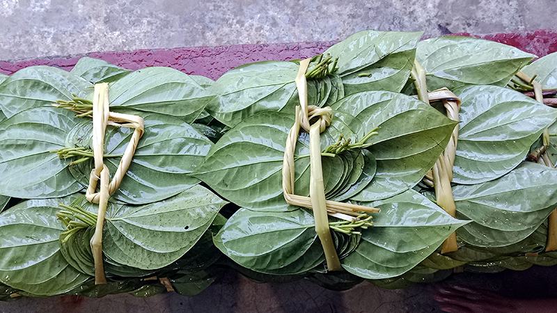 ৩৩ দেশে চাহিদা, খুলছে রফতানির দুয়ার
