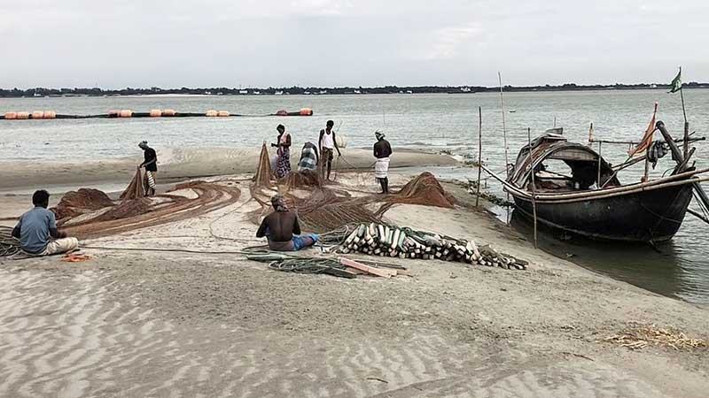 ভরা মৌসুমেও রাজবাড়ীর পদ্মা-যমুনায় ইলিশের আকাল