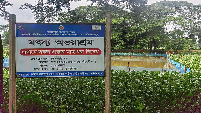 পটুয়াখালীতে দেশী মাছ বিস্তারে ভূমিকা রাখছে দুই মৎস্য অভয়াশ্রম