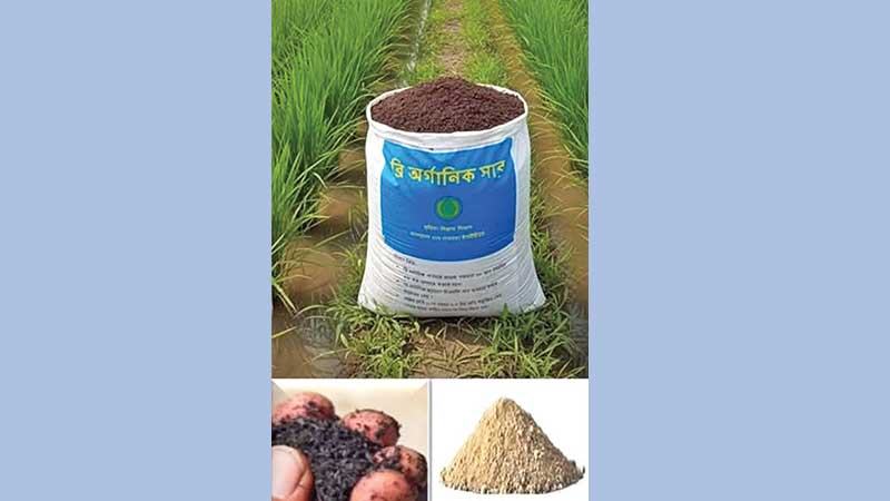 ধান গবেষণা ইনস্টিটিউটে নতুন জৈব সার উদ্ভাবন