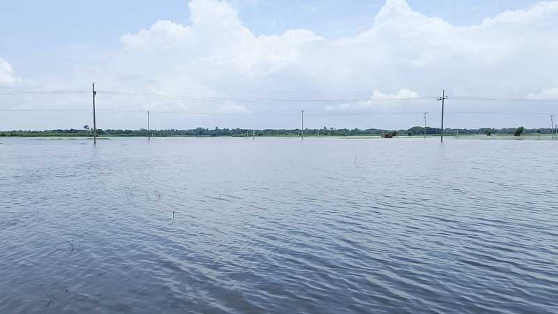 সাতক্ষীরায় বৃষ্টিতে তলিয়েছে সাড়ে তিন হাজার হেক্টর জমির ফসল